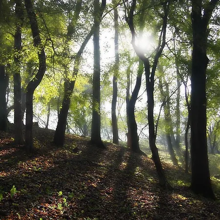 Nobuta Vendeghaz Feriehus