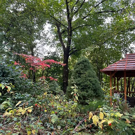 Holiday home Nobuta Vendeghaz Veroce