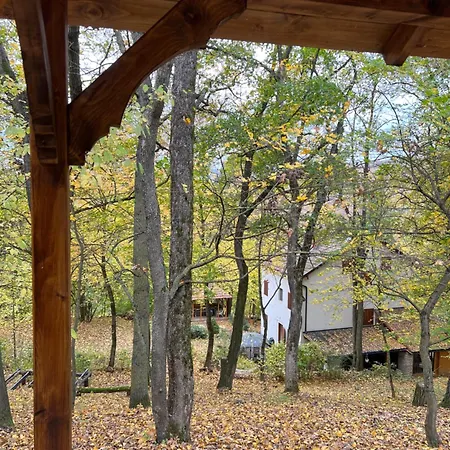 Nobuta Vendeghaz Holiday home Veroce
