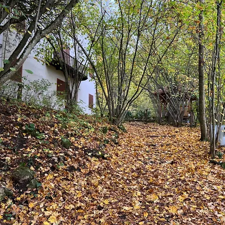 Nobuta Vendeghaz Holiday home