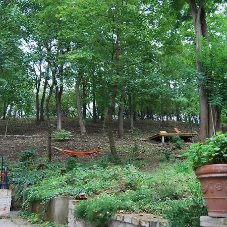 Nobuta Vendeghaz * Kismaros