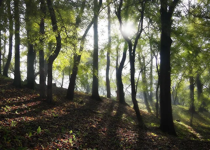 Nobuta Vendeghaz Dom wakacyjny