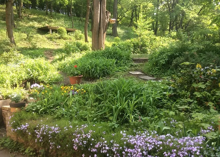 Dom wakacyjny Nobuta Vendeghaz *