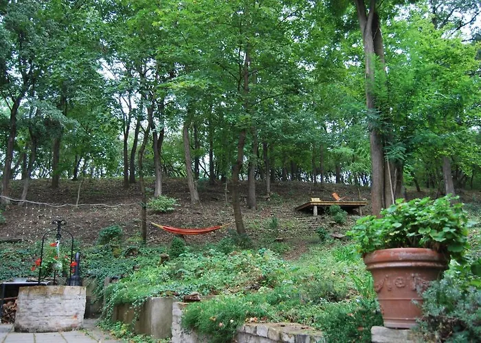 Nobuta Vendeghaz * Kismaros